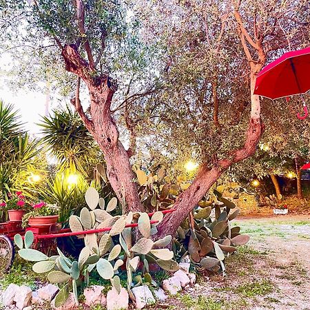 Mirella Charming Bed and Breakfast Alberobello Exteriör bild