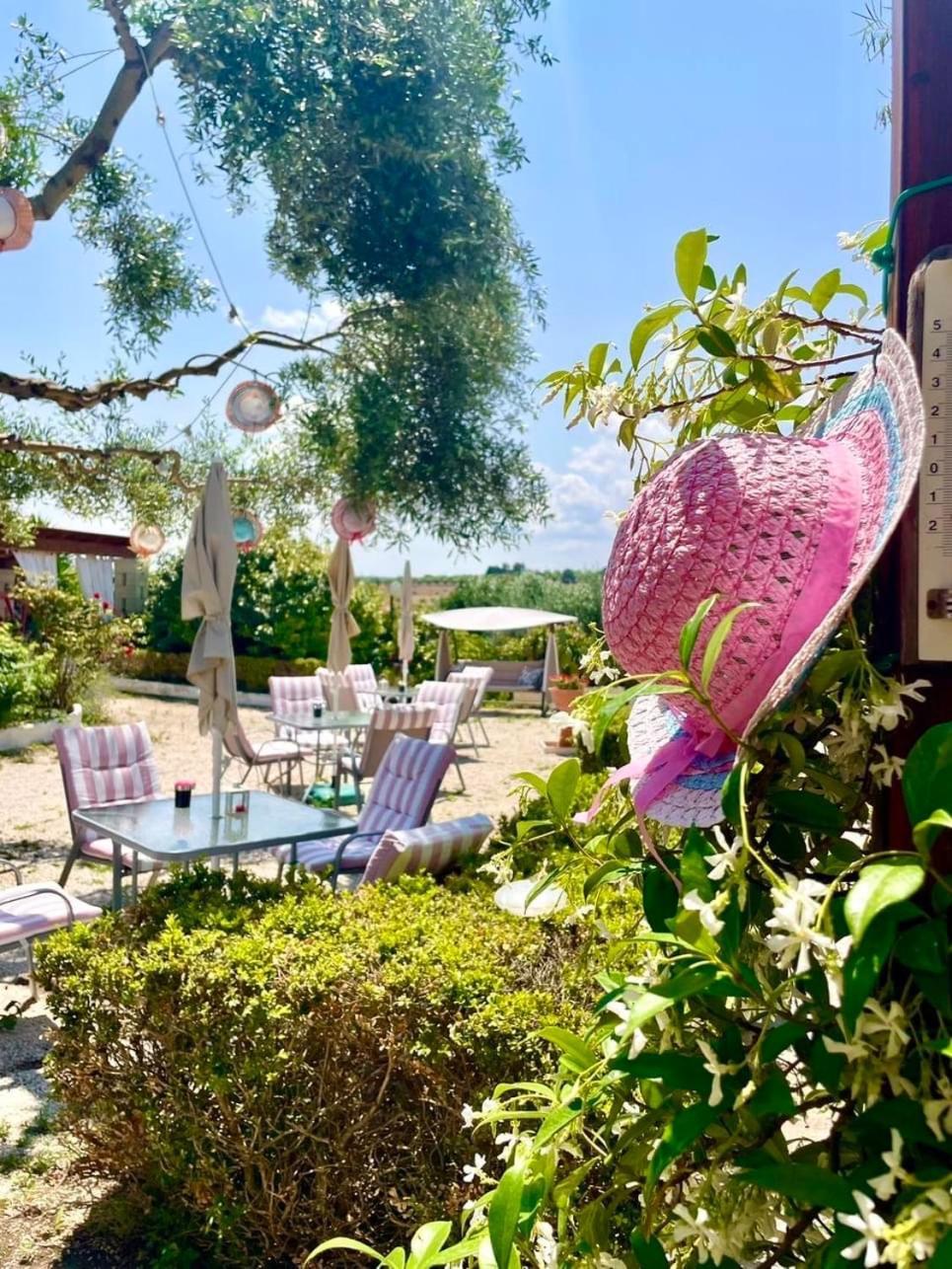 Mirella Charming Bed and Breakfast Alberobello Exteriör bild