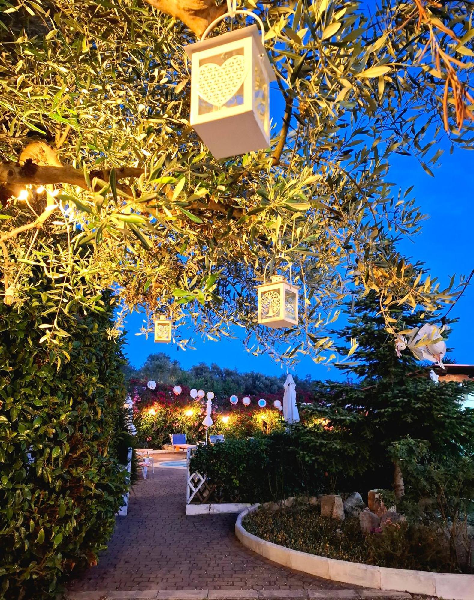 Mirella Charming Bed and Breakfast Alberobello Exteriör bild