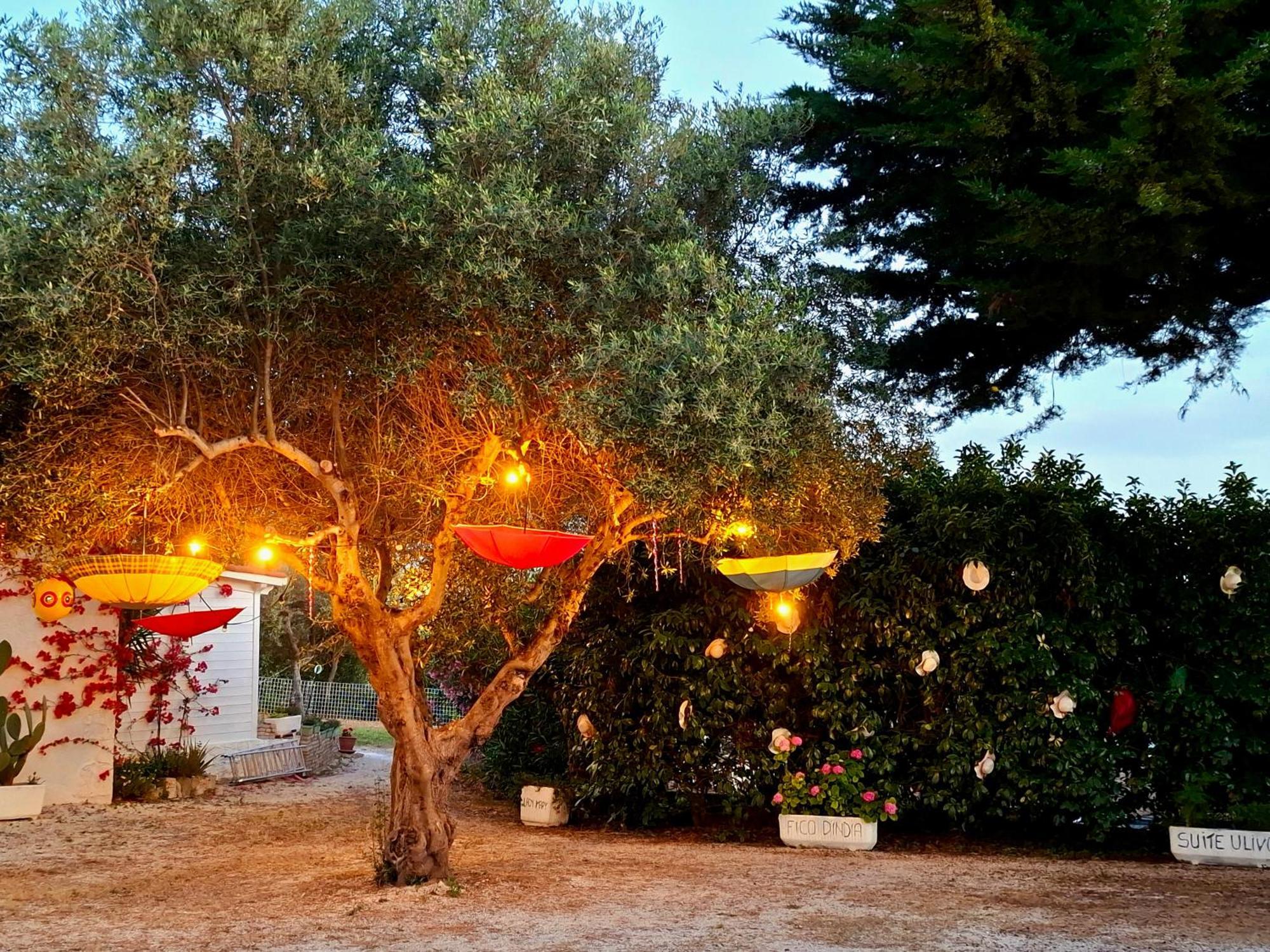 Mirella Charming Bed and Breakfast Alberobello Exteriör bild