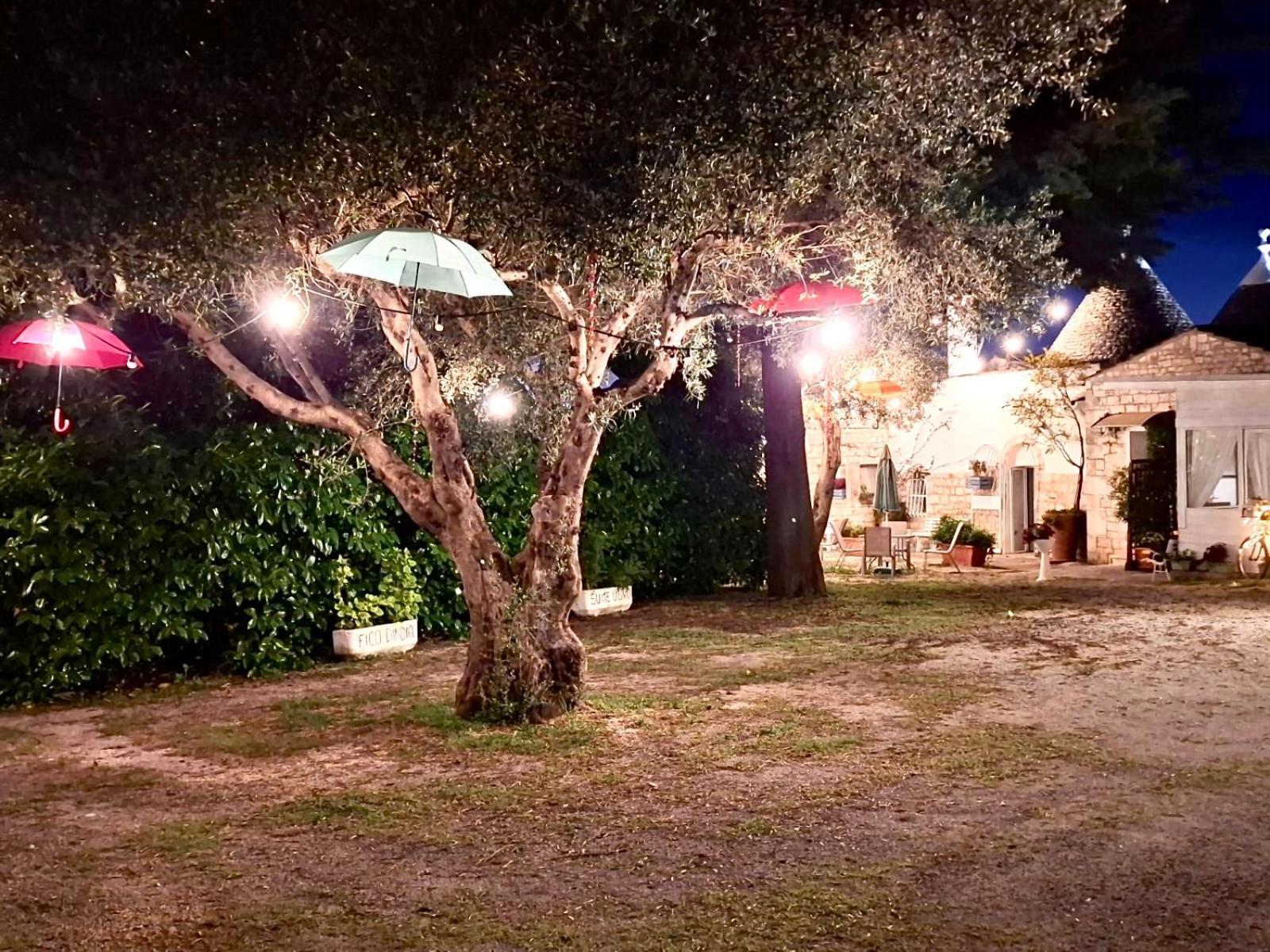 Mirella Charming Bed and Breakfast Alberobello Exteriör bild