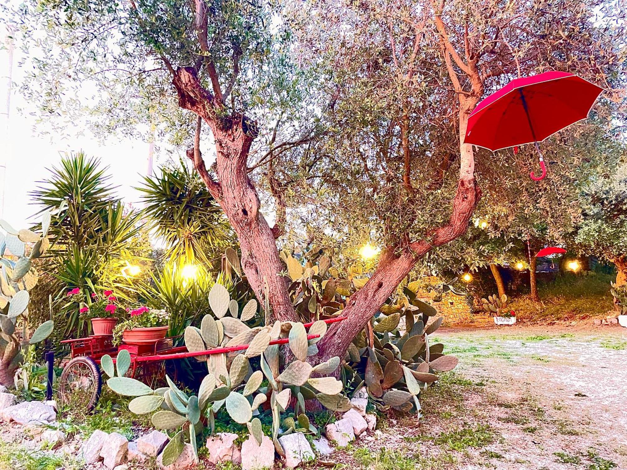 Mirella Charming Bed and Breakfast Alberobello Exteriör bild
