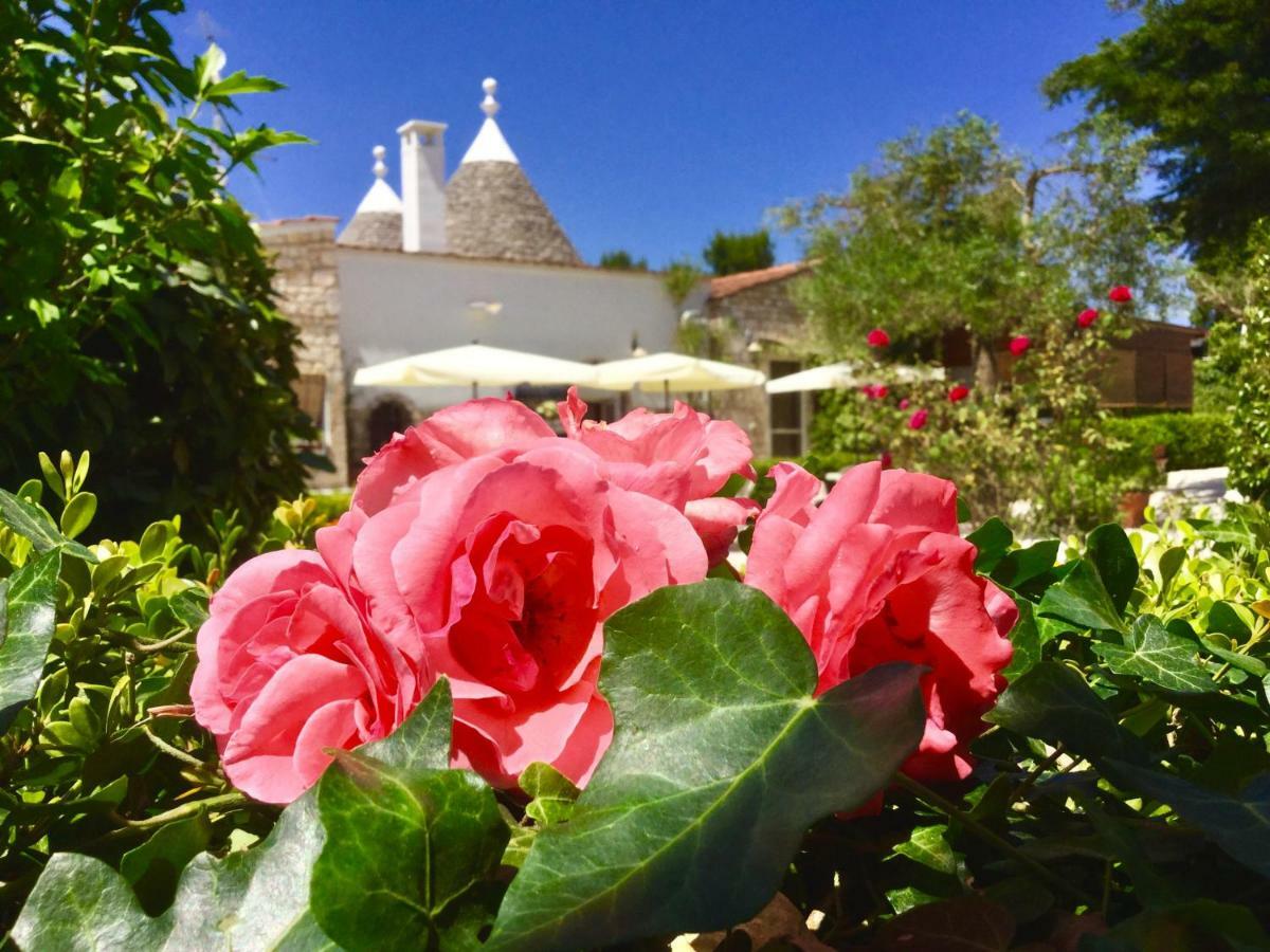 Mirella Charming Bed and Breakfast Alberobello Exteriör bild