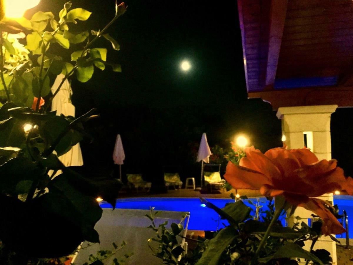 Mirella Charming Bed and Breakfast Alberobello Exteriör bild